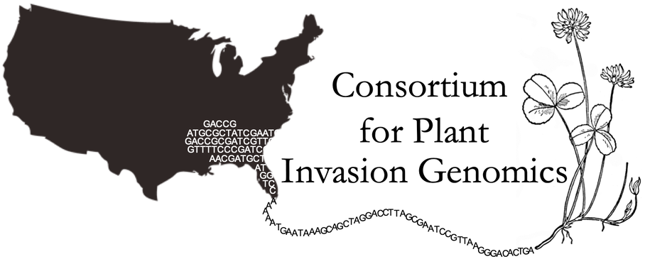 Logo of Consortium for Plant Invasion Genomics. US Map to left, outline of white clover to right