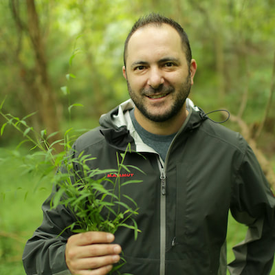 Portrait of Craig Barrett holding several stems of Japanese stiltgrass